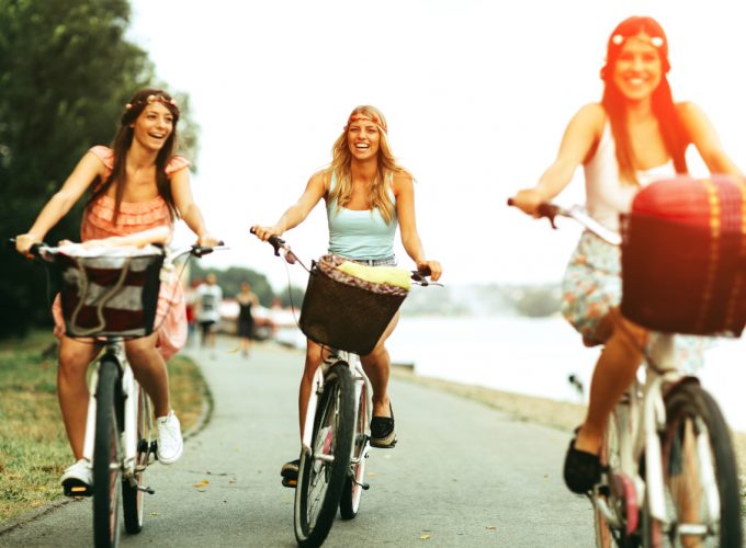 Dylan’s Famous Minibus Tour – Small Group Tour