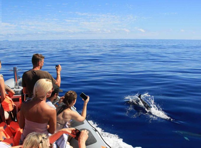 Boat Tour of San Francisco Bay